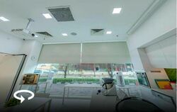 Starhub Green (D14), Factory #466702801